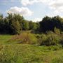 Stave Hill Ecological Park