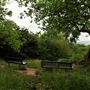One Tree Hill, Honor Oak Park