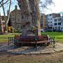 Hoxton Square