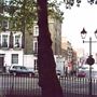 Percy Circus
