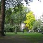 Soho Square