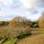 Wimbledon Common