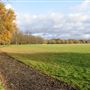 Wimbledon Common