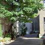 Osten Mews