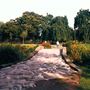 Hammersmith Park