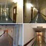 Northwick Park Hospital and St Mark's Hospital