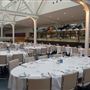 Bluebird Chelsea