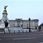 Buckingham Palace area