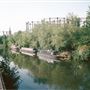 Camley Street Natural Park