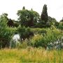 Bedfont Lakes Country Park