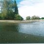 Bedfont Lakes Country Park