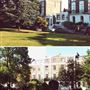 Crescent Grove