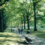 Green Park, The