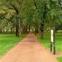 Green Park, The