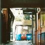 Leo Yard