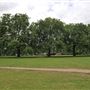 London Fields