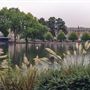 Victoria Park