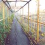 Wayne Kirkum Way