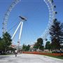Jubilee Gardens