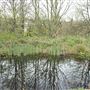 Railway Fields Nature Reserve