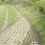 Railway Fields Nature Reserve
