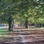 Gunnersbury Park
