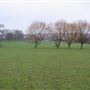 Cuddington Recreation Ground