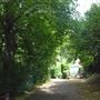 Highgate Wood