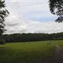 Highgate Wood