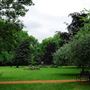 Gordon Square