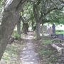 Old Southgate Cemetery