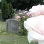 Old Southgate Cemetery