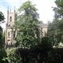 Hertford Road Cemetery