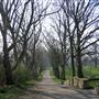 Gladstone Park