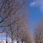 Riverside Walkways, Parks, and Gardens