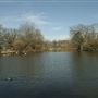 Tooting Bec Common