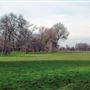 Wandsworth Common