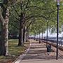 Island Gardens