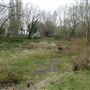 Wandle Meadow Nature Reserve