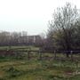 Wandle Meadow Nature Reserve