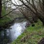 Wandle Meadow Nature Reserve