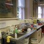 University College London - labs