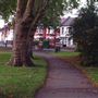 Chestnuts Park