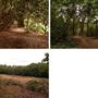 Petts Wood Parks
