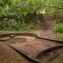 Keston Ponds