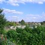 White Hart Lane Allotments