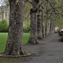 Victoria Tower Gardens
