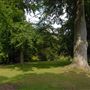 Hampstead Heath - the Hill Garden and Pergola