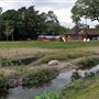 Ladywell Fields