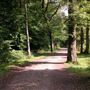 Bayhurst Wood Country Park
